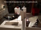 vidéo de l'expo dare d'art